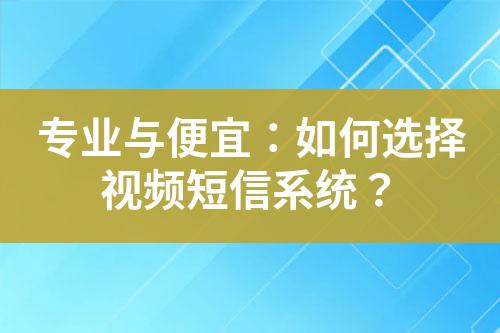 專業與便宜：如何選擇視頻短信系統？