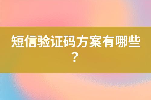 短信驗證碼方案有哪些？