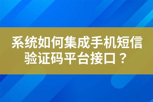 系統如何集成手機短信驗證碼平臺接口？