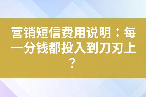 營銷短信費用說明：每一分錢都投入到刀刃上？